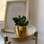 L'instant Chic - A 5min A Pied De Nausicaa, Plage, Centre *